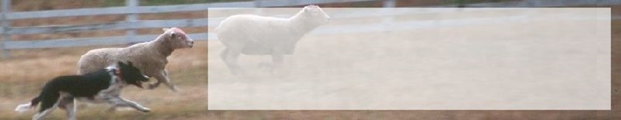 ̌ybgȏhizeEفj
